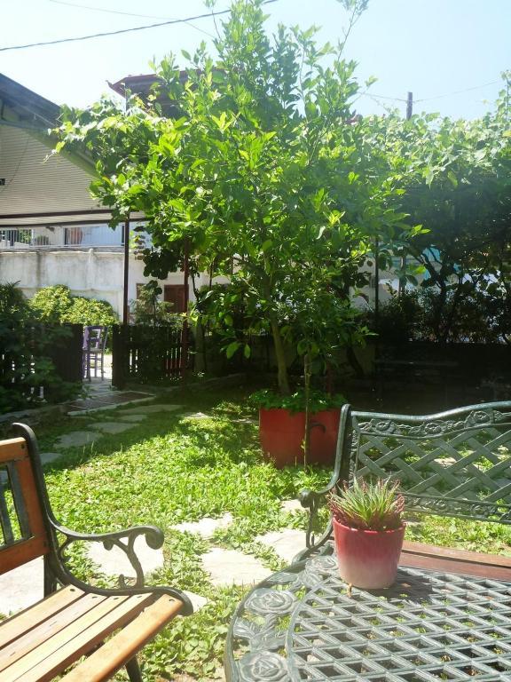 Helena Apartments Paralia Pantaleimonos Exterior foto